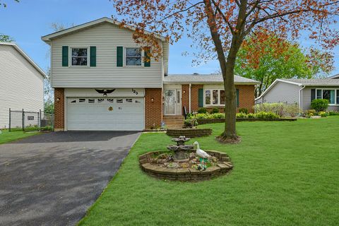 123 S BERTEAU Avenue Bartlett IL 60103