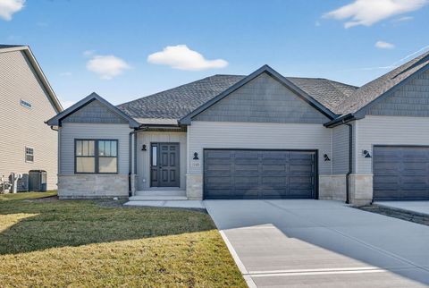 Tiny photo for 1165 Farmstone Drive, Diamond, IL 60416 (MLS # 12587187)