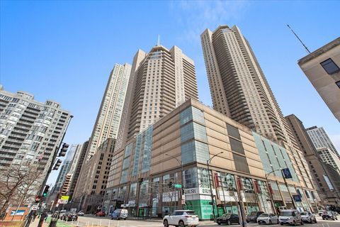 545 N Dearborn Street 1305 Chicago IL 60654