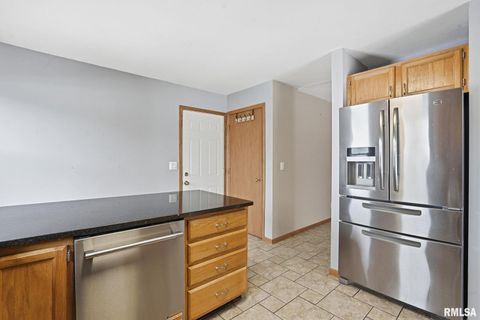 Tiny photo for 411 E 19TH Avenue, Coal Valley, IL 61240 (MLS # QC4270030)