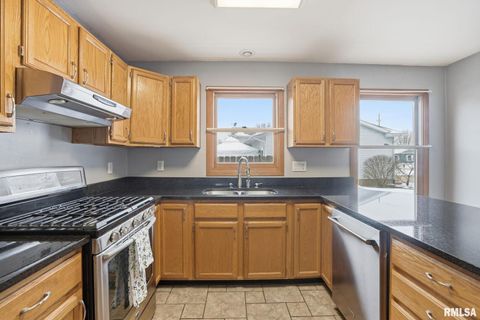 Tiny photo for 411 E 19TH Avenue, Coal Valley, IL 61240 (MLS # QC4270030)