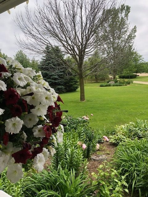 Tiny photo for 19602 Hebron Road, Harvard, IL 60033 (MLS # 12626275)