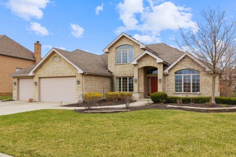 20187 Waterview Trail Frankfort IL 60423