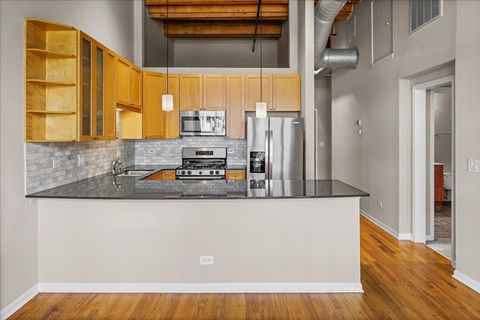 Tiny photo for 525 W Superior Street #224, Chicago, IL 60654 (MLS # 12466838)