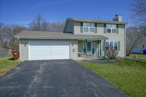 Photo of 113 Prairie Moon Drive, Davis Junction, IL 61020 (MLS # 12599372)