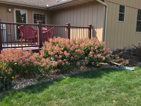 Tiny photo for 701 Thomas Drive, Heyworth, IL 61745 (MLS # 12469282)