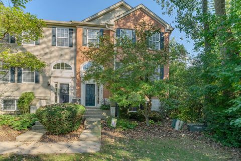 Photo of 161 Patrick Avenue, Willow Springs, IL 60480 (MLS # 12502686)