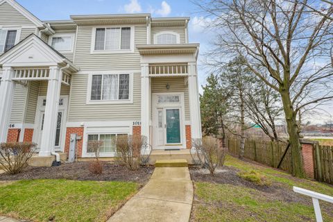 1018 Savoy Court Elk Grove Village IL 60007