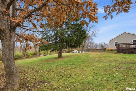 Tiny photo for 9520 115TH Street, Blue Grass, IA 52726 (MLS # QC4269705)
