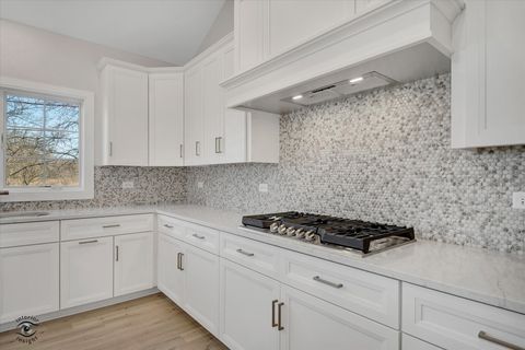 Tiny photo for 20336 Mackinac Point Drive, Frankfort, IL 60423 (MLS # 12592825)