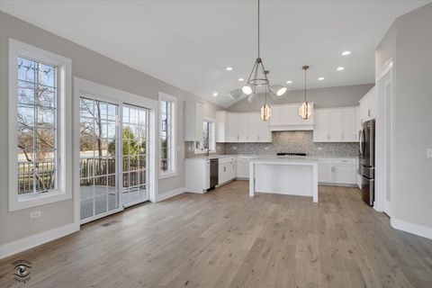 Tiny photo for 20336 Mackinac Point Drive, Frankfort, IL 60423 (MLS # 12592825)