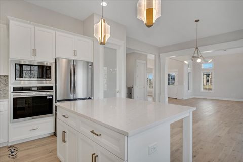 Tiny photo for 20336 Mackinac Point Drive, Frankfort, IL 60423 (MLS # 12592825)