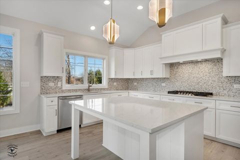 Tiny photo for 20336 Mackinac Point Drive, Frankfort, IL 60423 (MLS # 12592825)