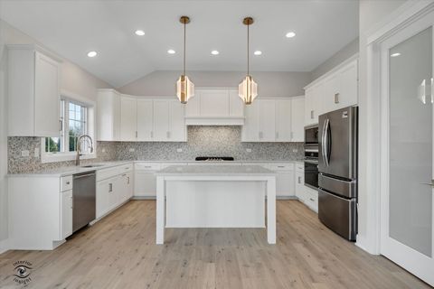 Tiny photo for 20336 Mackinac Point Drive, Frankfort, IL 60423 (MLS # 12592825)