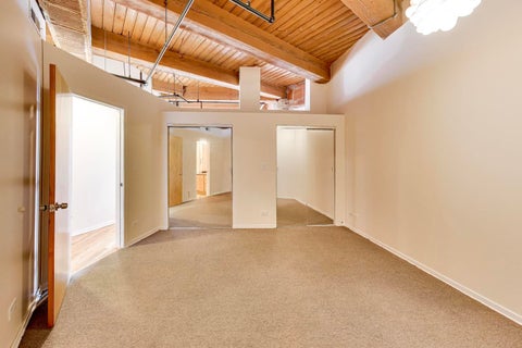 Tiny photo for 2310 S Canal Street #217, Chicago, IL 60616 (MLS # 12726223)