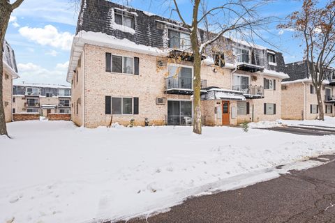 Photo of 1313 N Baldwin Court #2C, Palatine, IL 60074 (MLS # 12522349)