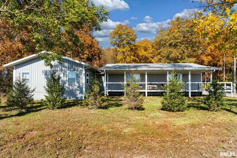 Tiny photo for 23115 State Highway 14, Macedonia, IL 62860 (MLS # QC4269055)