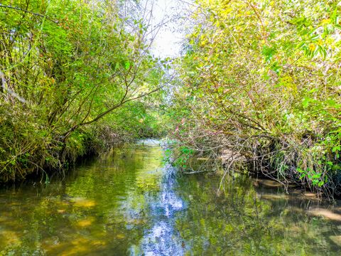 Tiny photo for 5619 352nd Avenue, Burlington, WI 53105 (MLS # 12498728)