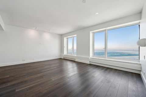 Tiny photo for Chicago, IL 60611 (MLS # 12505097)