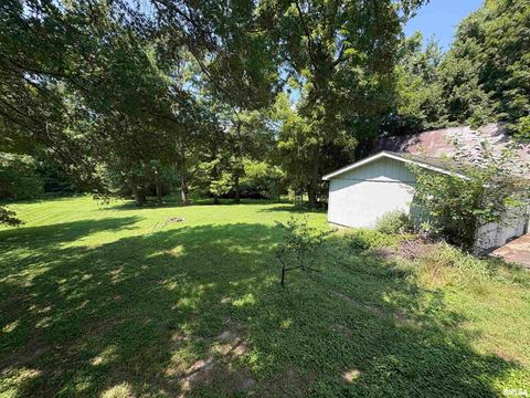 Tiny photo for 400 S OAKLAND Avenue, Carbondale, IL 62901 (MLS # EB459220)