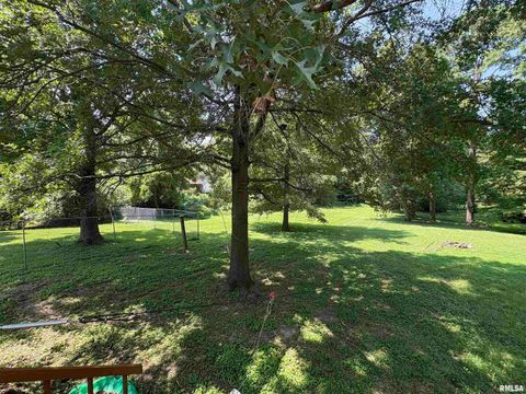 Tiny photo for 400 S OAKLAND Avenue, Carbondale, IL 62901 (MLS # EB459220)