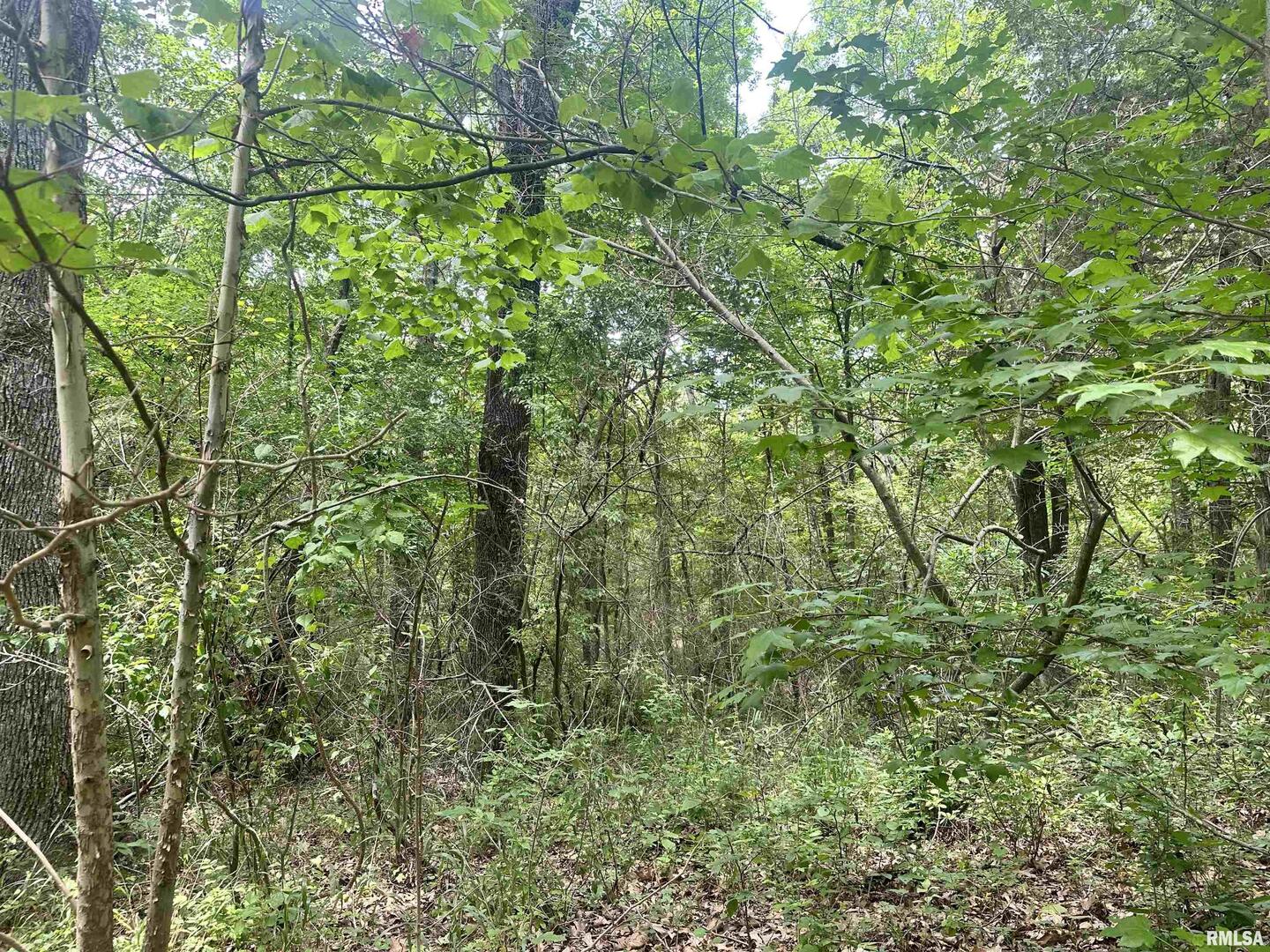 000 Knob Creek Road