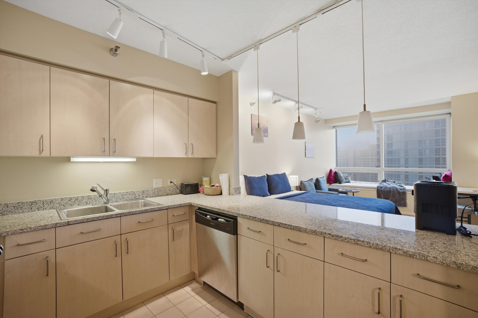 512 N McClurg Court 2309