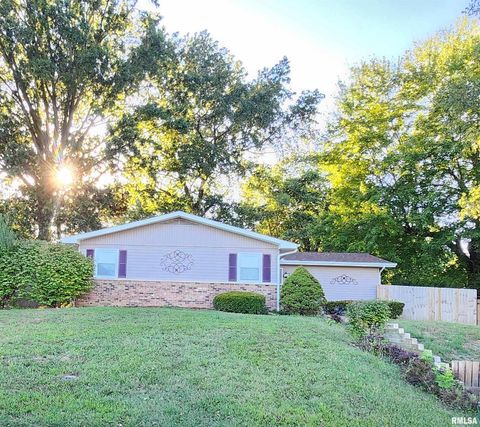 Tiny photo for 112 N Parrish Lane, Carbondale, IL 62901 (MLS # EB459912)