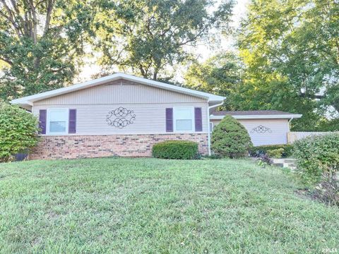 Photo of 112 N Parrish Lane, Carbondale, IL 62901 (MLS # EB459912)