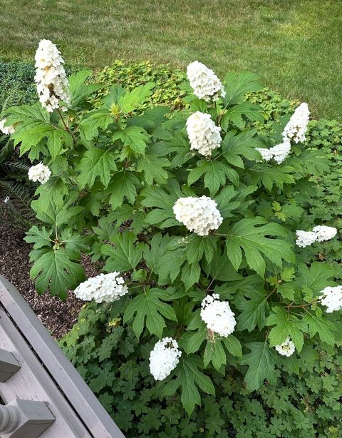 Tiny photo for 4N609 Pheasant Run Drive, St. Charles, IL 60175 (MLS # 12580157)