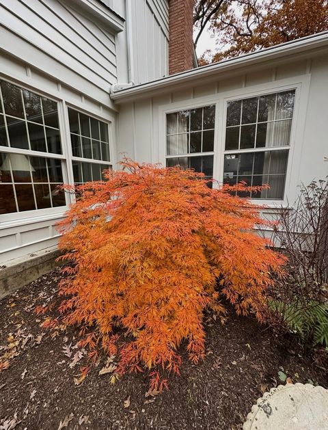 Tiny photo for 4N609 Pheasant Run Drive, St. Charles, IL 60175 (MLS # 12580157)