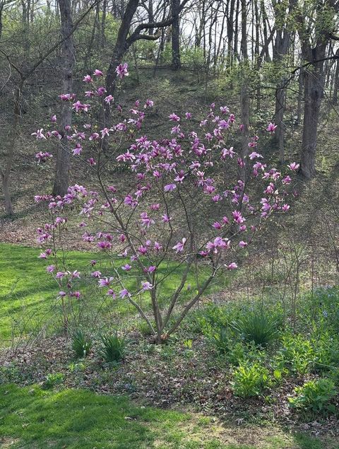 Tiny photo for 4N609 Pheasant Run Drive, St. Charles, IL 60175 (MLS # 12580157)