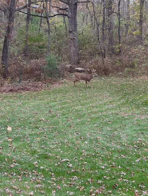 Tiny photo for 4N609 Pheasant Run Drive, St. Charles, IL 60175 (MLS # 12580157)