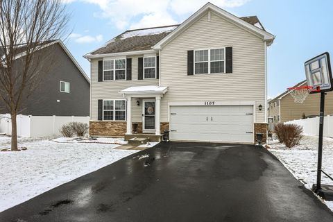 Tiny photo for 1107 Van Dyke Road, Joliet, IL 60431 (MLS # 12596849)