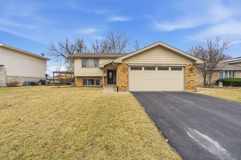 13707 W Carefree Drive Homer Glen IL 60491
