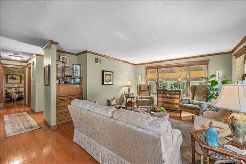 Tiny photo for 6N477 Salina Avenue, St. Charles, IL 60174 (MLS # 12673341)