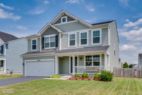 Photo of 1024 Daniel Street, Plano, IL 60545 (MLS # 12419894)