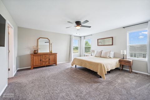 Tiny photo for 1024 Daniel Street, Plano, IL 60545 (MLS # 12419894)