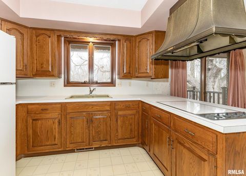 Tiny photo for 9721 234TH Street N, Port Byron, IL 61275 (MLS # QC4261335)