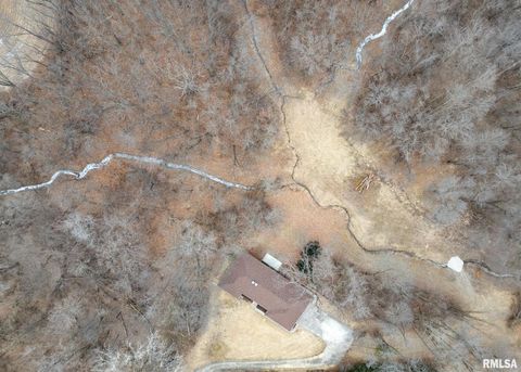 Tiny photo for 9721 234TH Street N, Port Byron, IL 61275 (MLS # QC4261335)