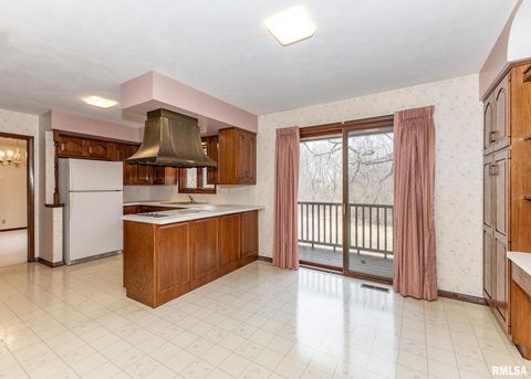 Tiny photo for 9721 234TH Street N, Port Byron, IL 61275 (MLS # QC4261335)