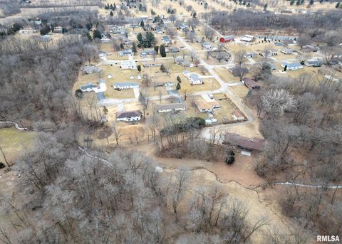 Tiny photo for 9721 234TH Street N, Port Byron, IL 61275 (MLS # QC4261335)