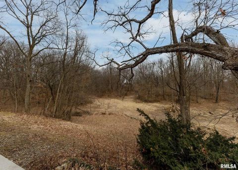 Tiny photo for 9721 234TH Street N, Port Byron, IL 61275 (MLS # QC4261335)