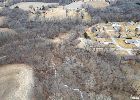 Tiny photo for 9721 234TH Street N, Port Byron, IL 61275 (MLS # QC4261335)