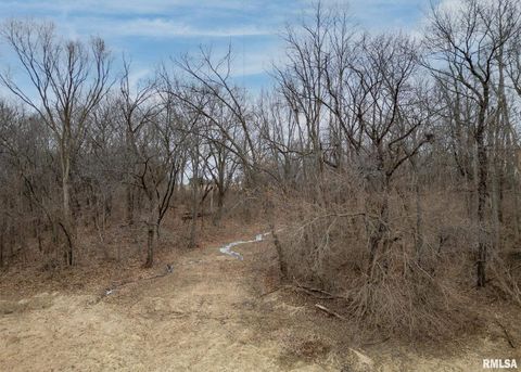 Tiny photo for 9721 234TH Street N, Port Byron, IL 61275 (MLS # QC4261335)