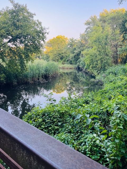 Tiny photo for 10824 Laramie Avenue, Oak Lawn, IL 60453 (MLS # 12600847)