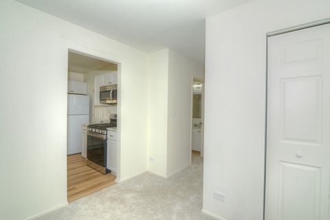 Tiny photo for 600 Eastveiw Court #X1, Schaumburg, IL 60193 (MLS # 12431505)