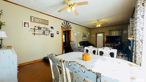 Tiny photo for 103 N GRAND Street, West Frankfort, IL 62896 (MLS # EB459780)