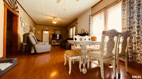 Tiny photo for 103 N GRAND Street, West Frankfort, IL 62896 (MLS # EB459780)