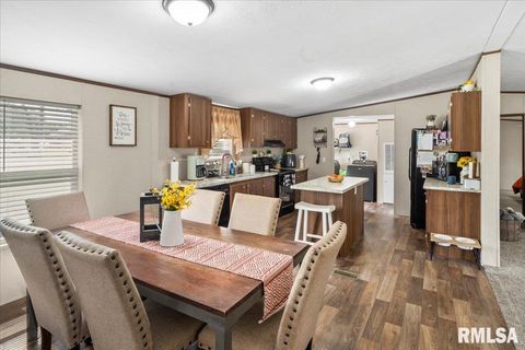 Tiny photo for 1006 S Land Street, Harrisburg, IL 62946 (MLS # EB458937)